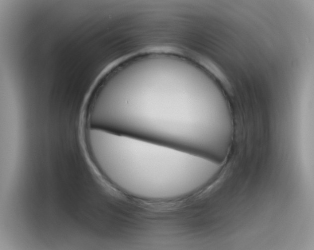 X0000115790984200911131023