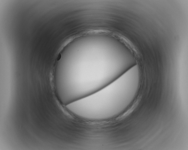 X0000115790985200911131023
