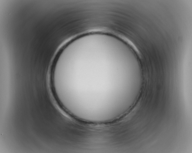 X0000115790991200911131023