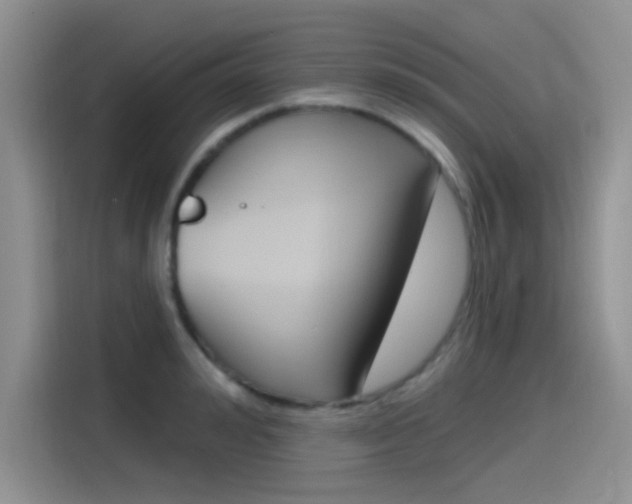 X0000115790992200911131023