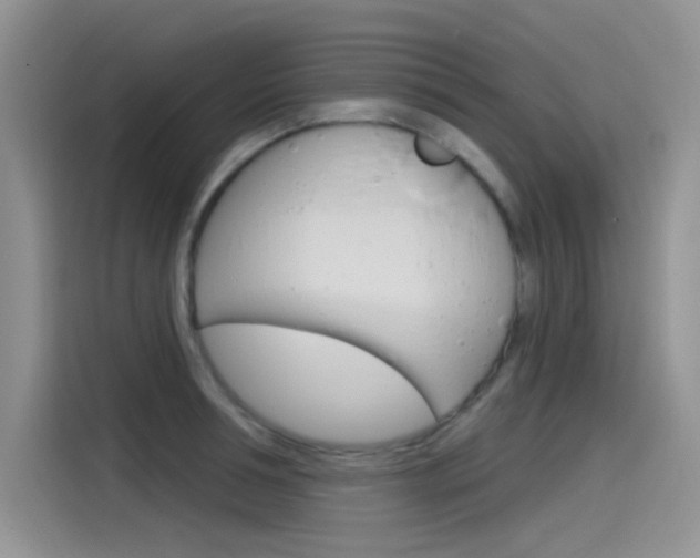 X0000115790994200911131023