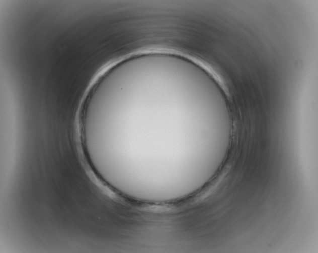 X0000115790998200911131023