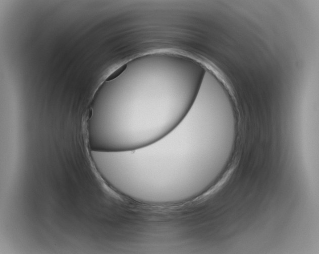 X0000115791001200911131023