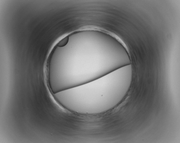 X0000115791003200911131023