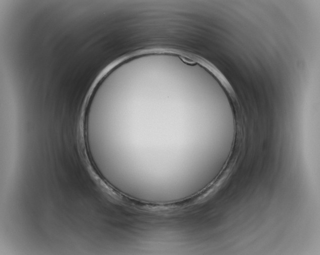 X0000115791004200911131022