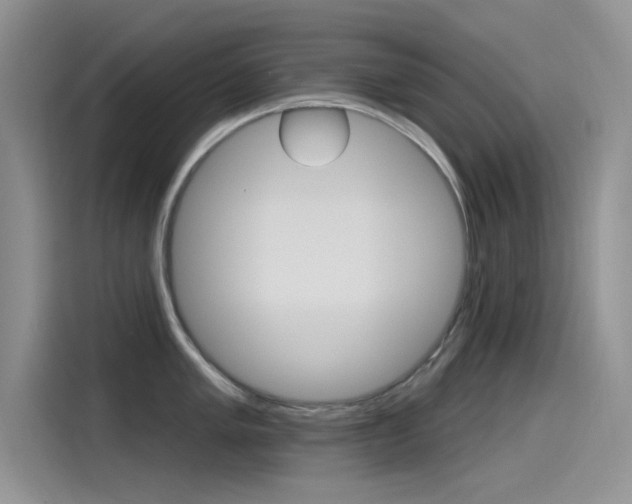 X0000115791005200911131022