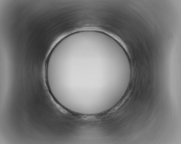 X0000115791006200911131022
