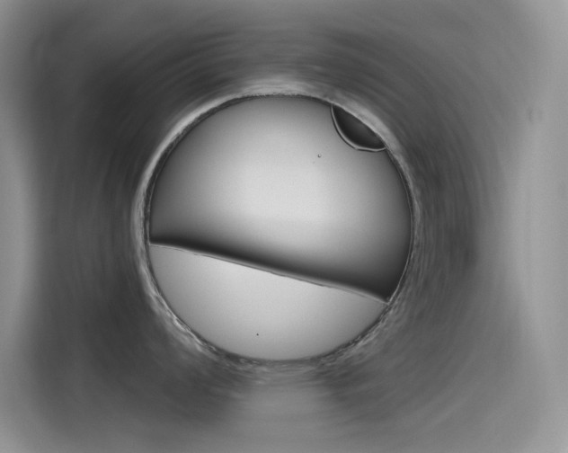 X0000115791008200911131022
