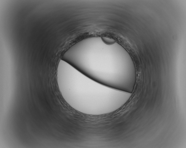 X0000115791012200911131022