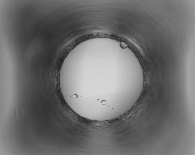 X0000115791015200911131022