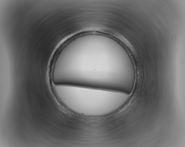 X0000115791020200911131022