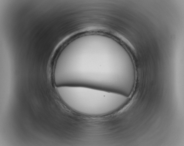X0000115791021200911131022
