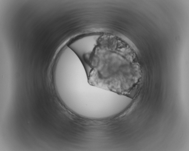X0000115791023200911131022