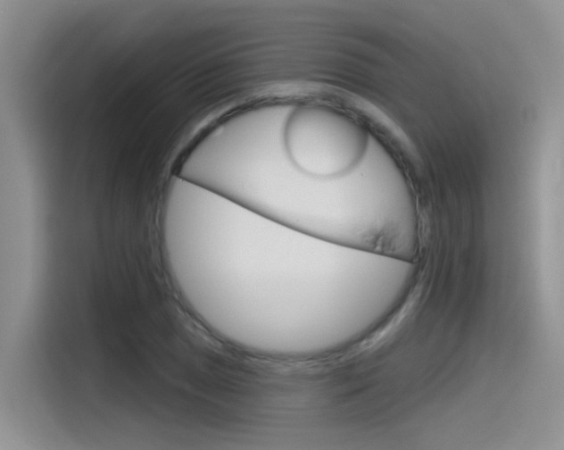 X0000115791025200911131022