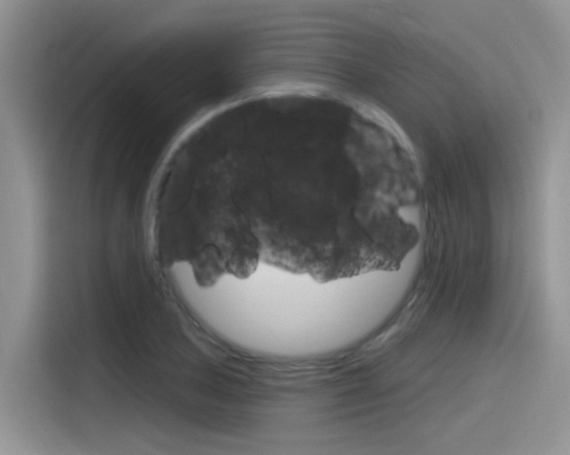 X0000115791027200911131022
