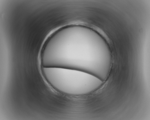 X0000115791032200911131022