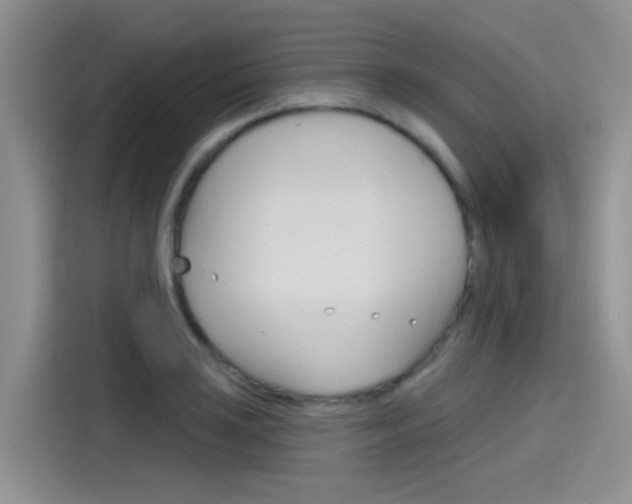 X0000115791035200911131022
