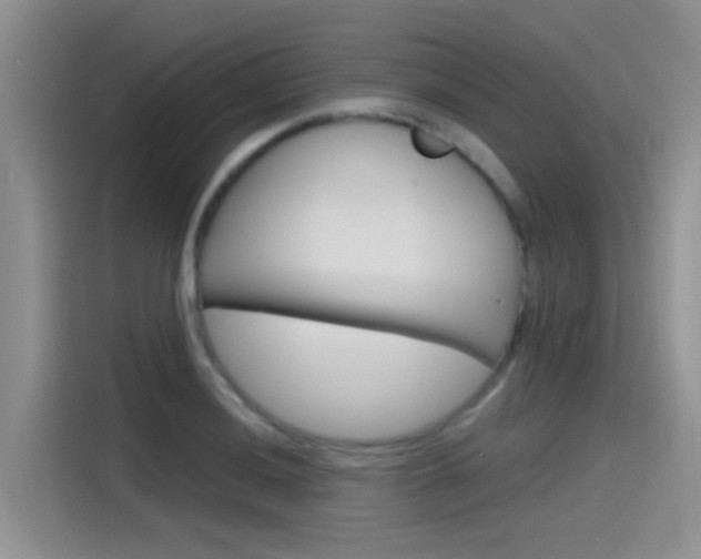 X0000115791036200911131022