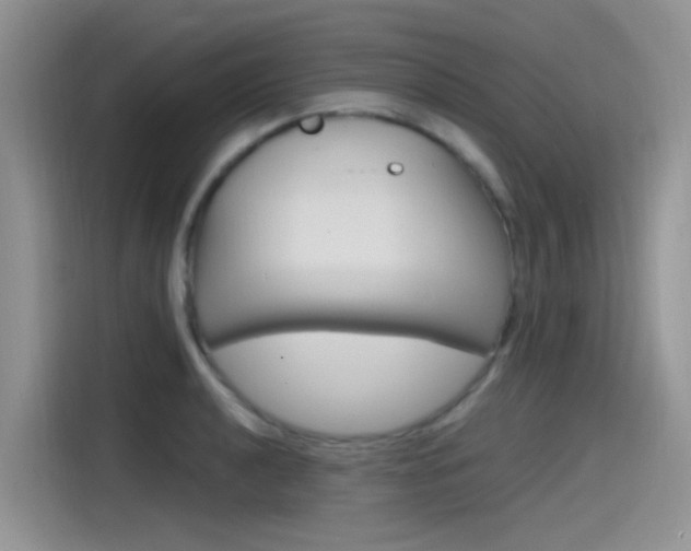 X0000115791040200911131022