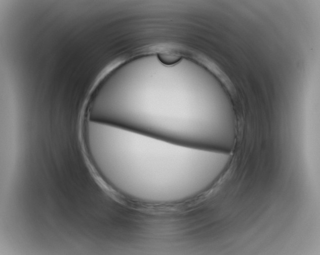 X0000115791042200911131022