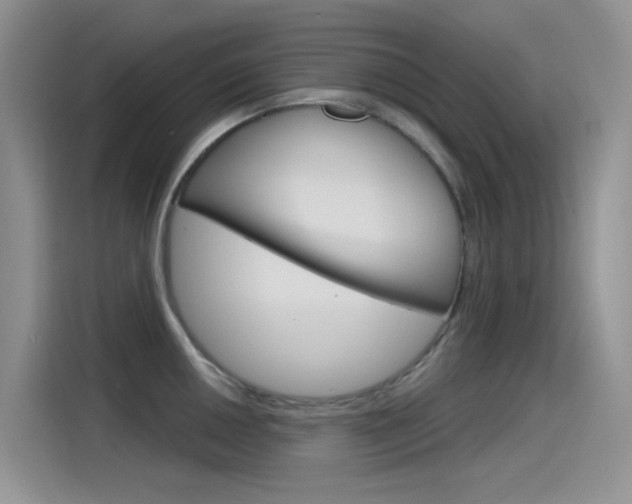 X0000115791050200911131022
