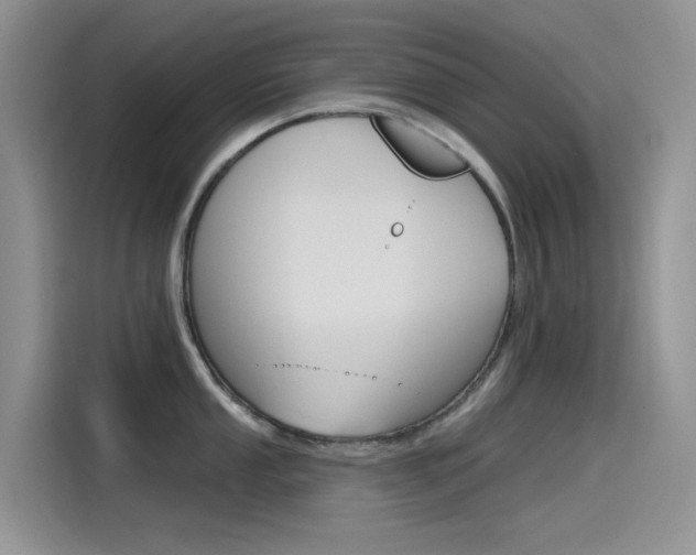 X0000115791053200911131022