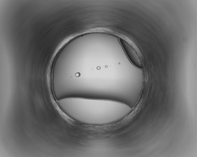 X0000115791054200911131022