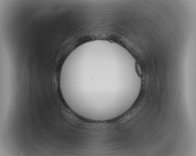 X0000115791058200911131022