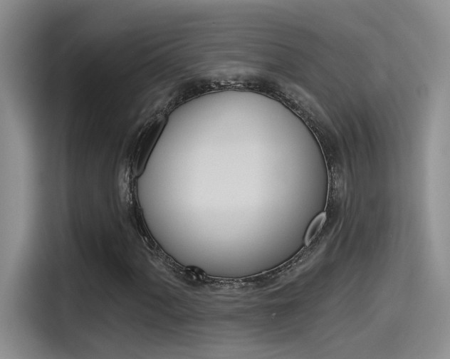 X0000115791060200911131022