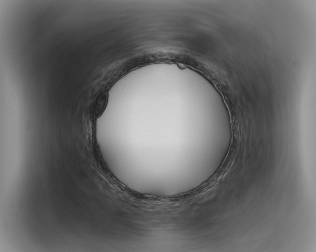X0000115791061200911131022
