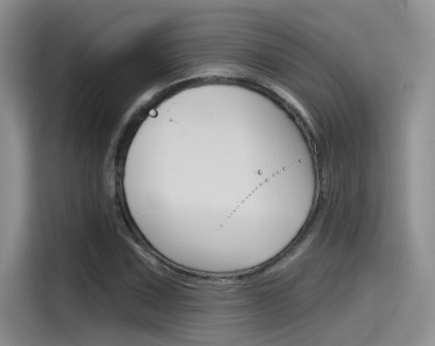 X0000115791067200911131022
