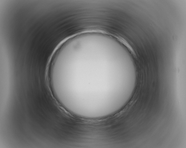 X0000115791068200911131022