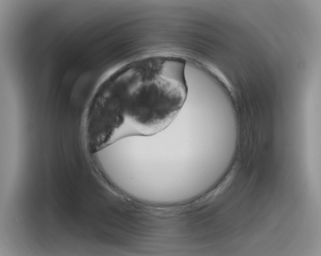 X0000115791071200911131022