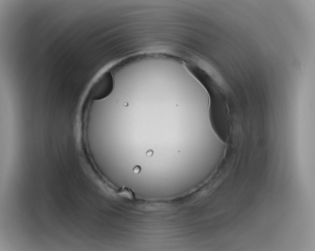 X0000115791076200911131022