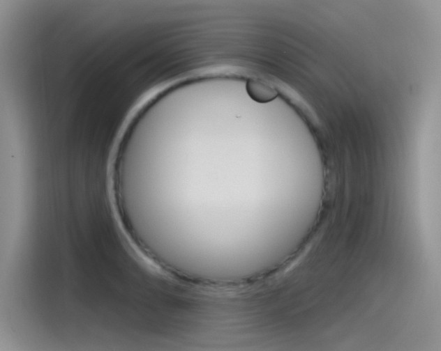 X0000115791086200911131021