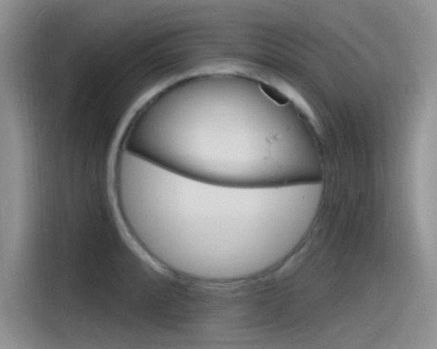 X0000115791088200911131021
