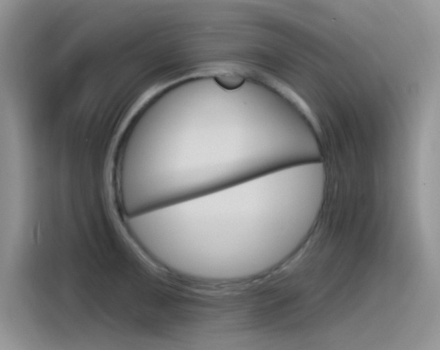 X0000115791091200911131021