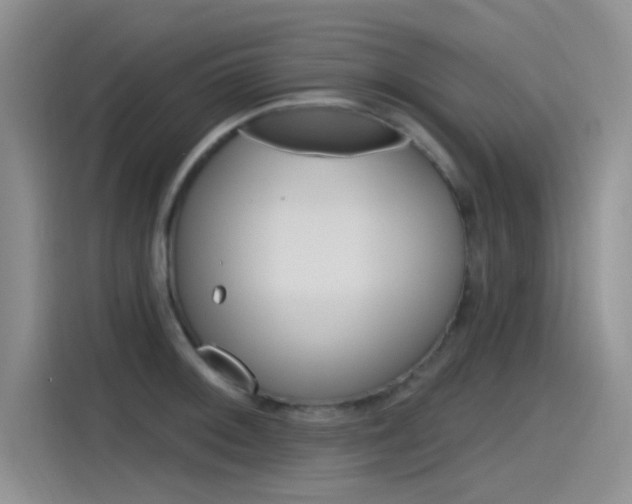 X0000115791092200911131021