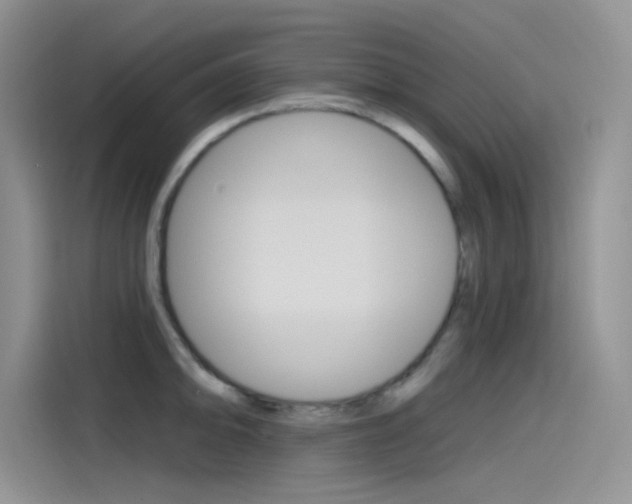 X0000115791094200911131021