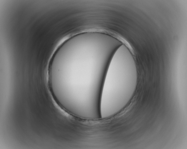 X0000115791095200911131021