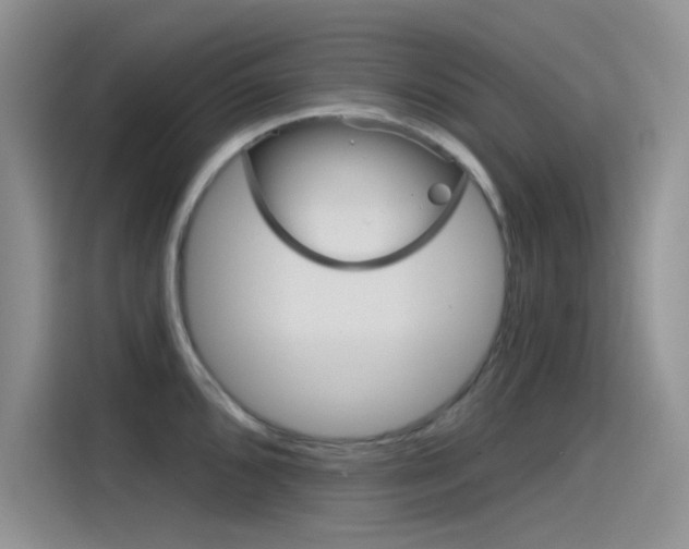 X0000115791096200911131021