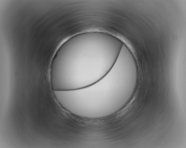 X0000115791097200911131021