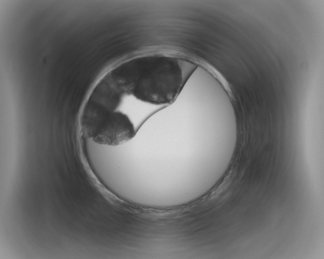 X0000115791099200911131021