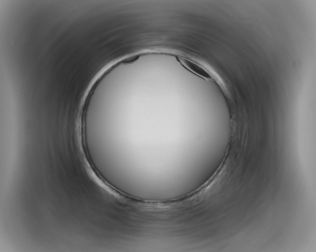 X0000115791100200911131021