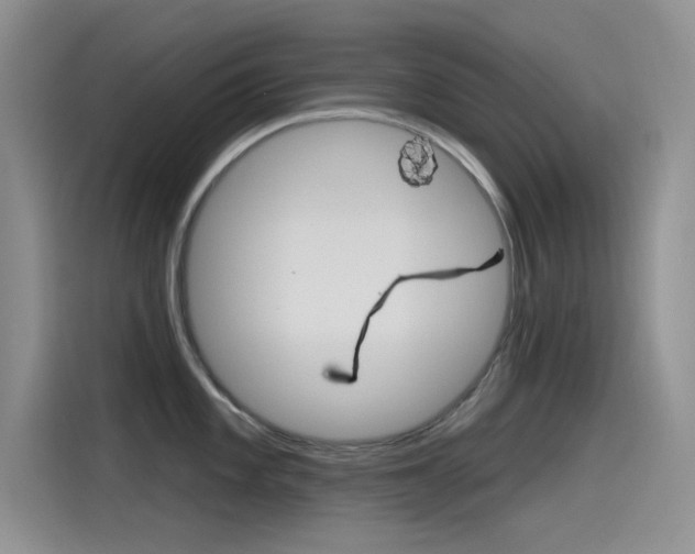 X0000115791101200911131021