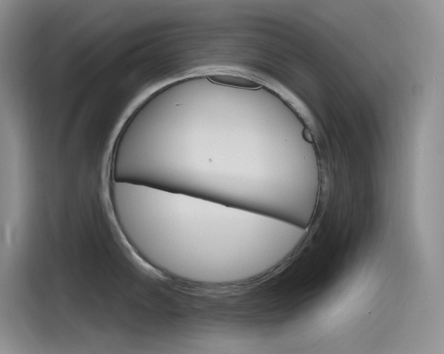 X0000115791102200911131021