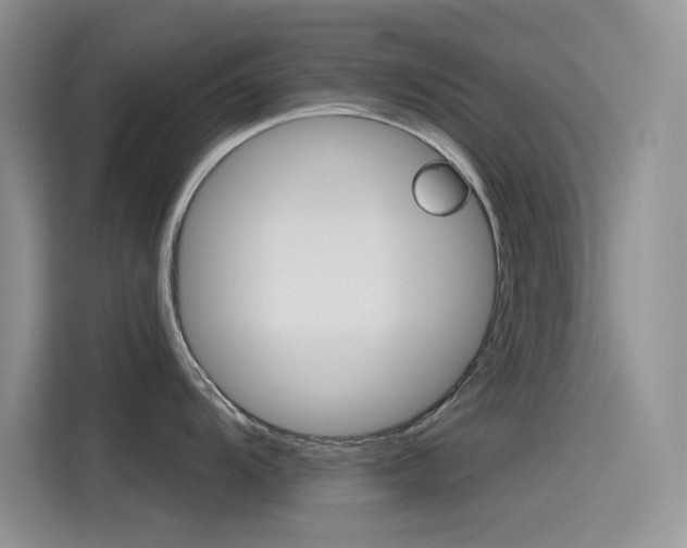 X0000115791104200911131021