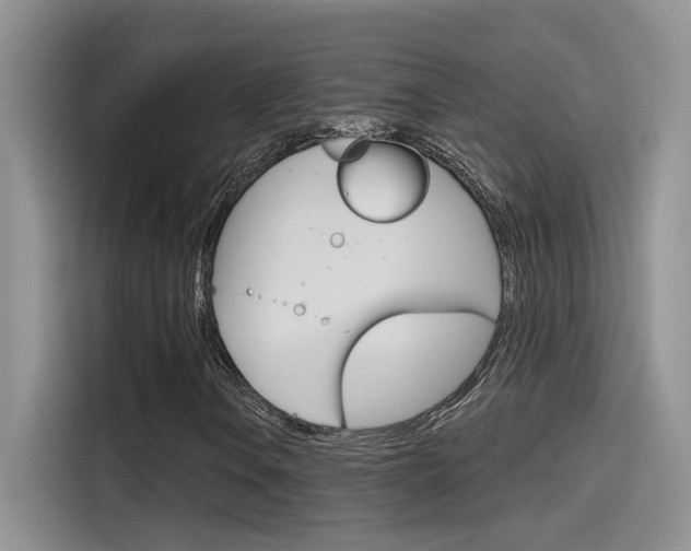 X0000115791106200911131021
