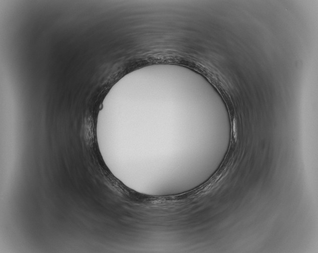 X0000115791107200911131021