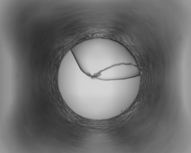 X0000115791109200911131021